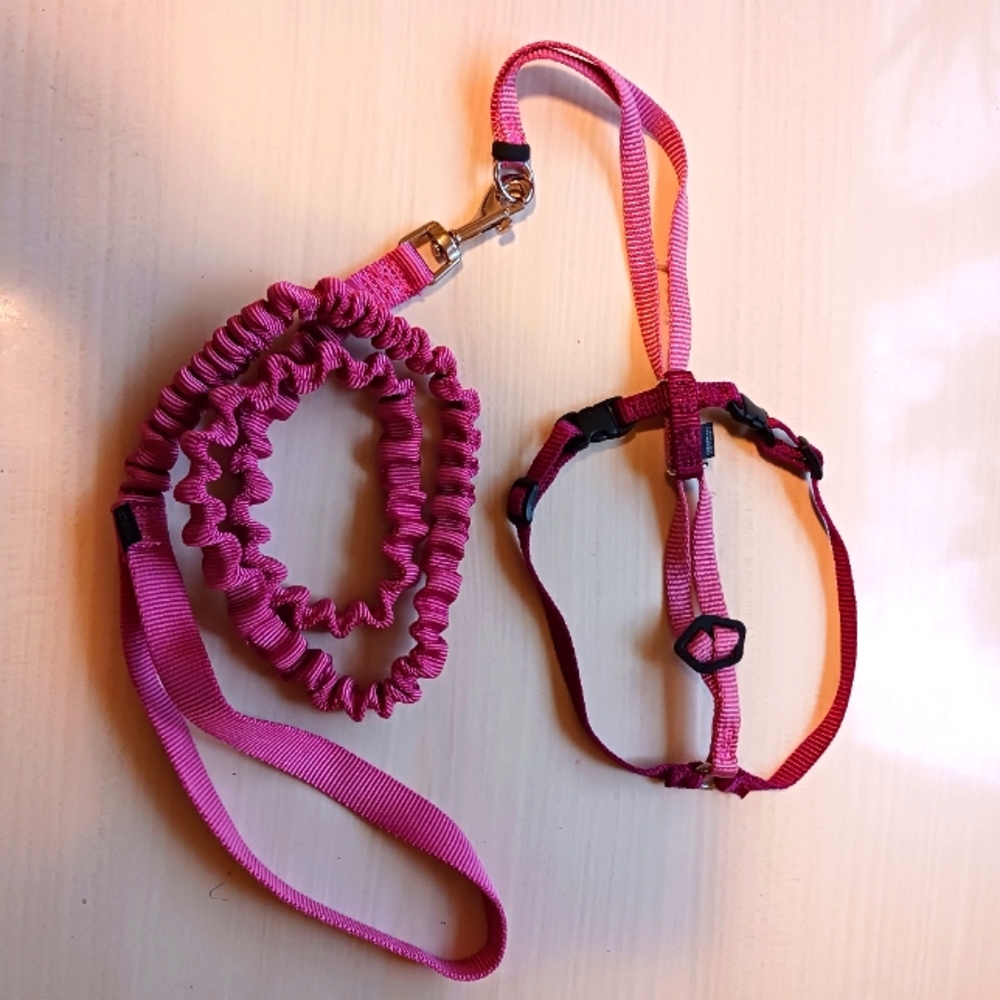 NWOT Small Dog Harness